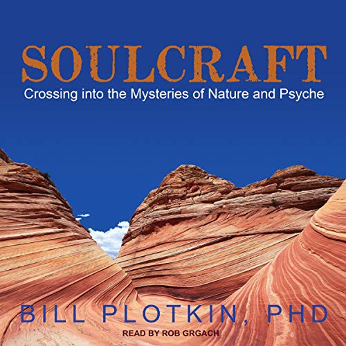 Cover for Soulcraft