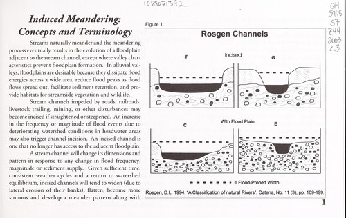 Cover for An introduction to induced meandering