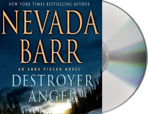 Cover for Destroyer angel