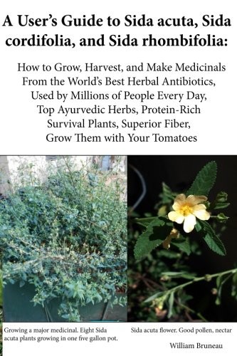 Cover for A User's Guide to Sida acuta, Sida cordifolia, and Sida rhombifolia : 