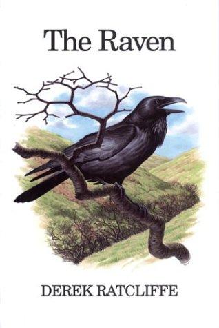 Cover for The Raven