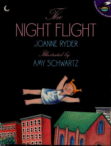 Cover for The night flight