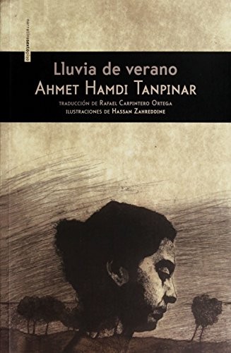 Cover for Lluvia de verano