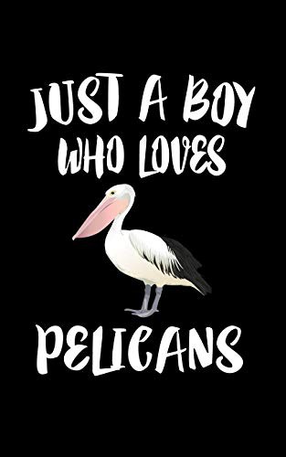 Cover for Just A Boy Who Loves Pelicans
