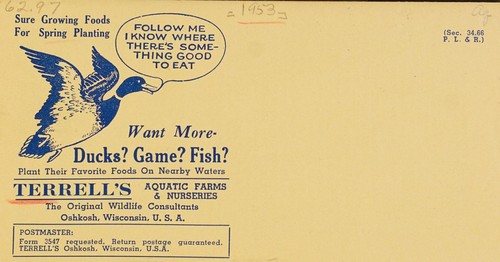 Cover for Want more ducks? game? fish?
