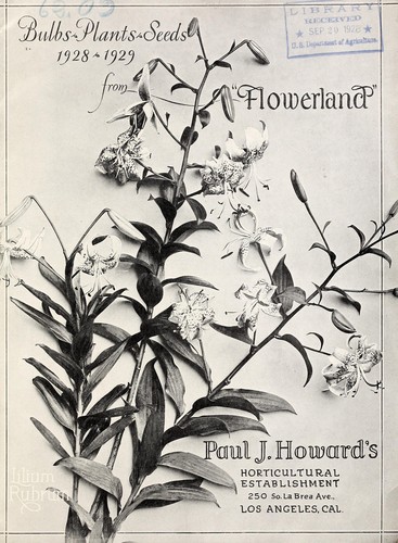 Cover for Bulbs, plants, seeds 1928-1929 from "Flowerland"