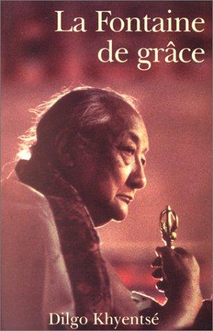 Cover for La Fontaine de grâce