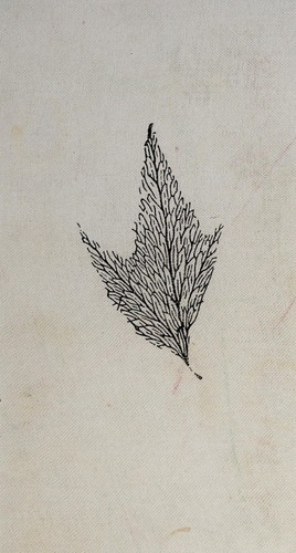 Cover for Poesias completas