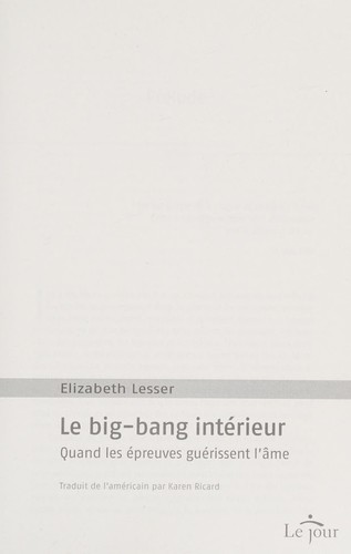 Cover for Le big-bang intérieur