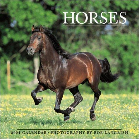 Cover for Horses 2004 12-month Wall Calendar