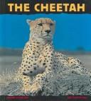 Cover for Cheetah