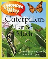 Cover for 进口英文原版 I Wonder Why Caterpillars Eat so Much 毛毛虫为什么吃那么多东西