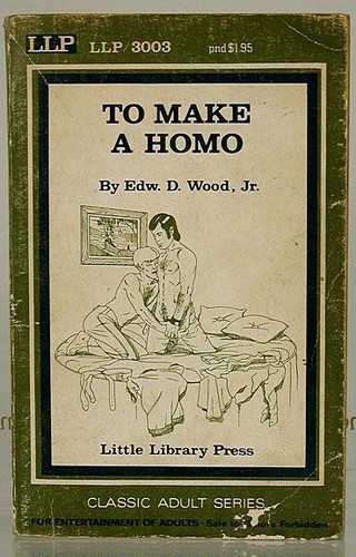 Cover for To Make a Homo