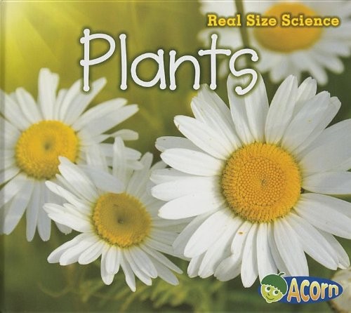 Cover for Plants