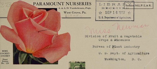 Cover for Paramount roses