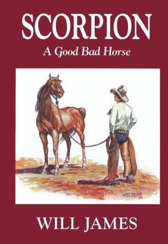 Cover for Scorpion, a good bad horse