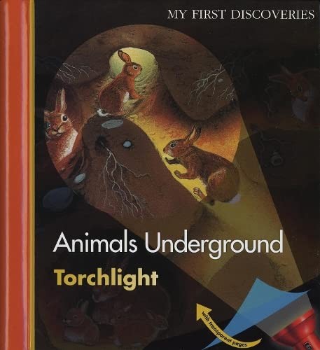 Cover for Animales Desaparecidos