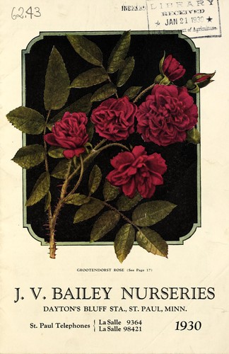 Cover for J.V. Bailey Nurseries