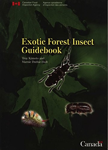 Cover for Exotic forest insect guidebook