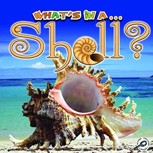Cover for Shell
