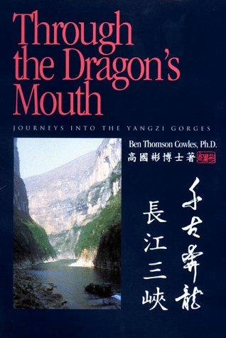 Cover for Through the dragon's mouth