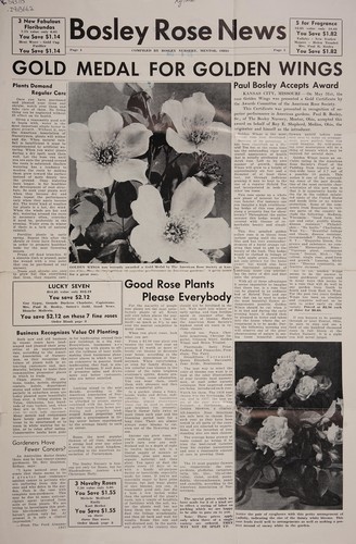 Cover for Bosley rose news
