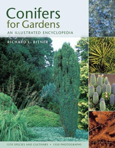 Cover for Conifers for Gardens