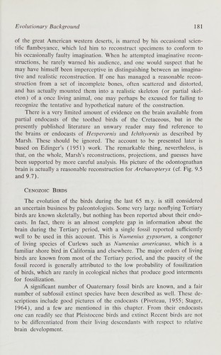 Cover for Evolution of the brain and intelligence