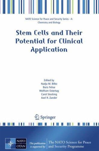 Cover for Stem Cells and Their Potential for Clinical Application (NATO Science for Peace and Security Series A: Chemistry and Biology)
