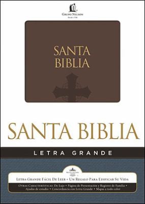 Cover for Biblia Holy Bible