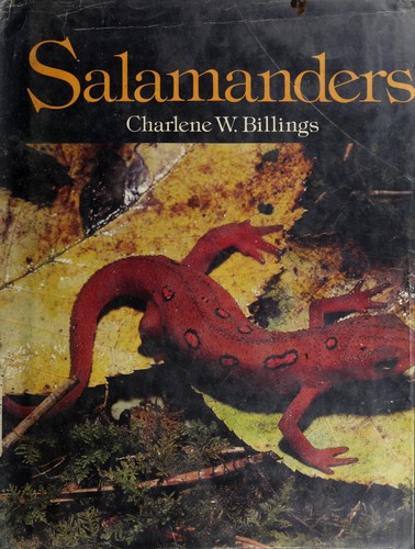 Cover for Salamanders