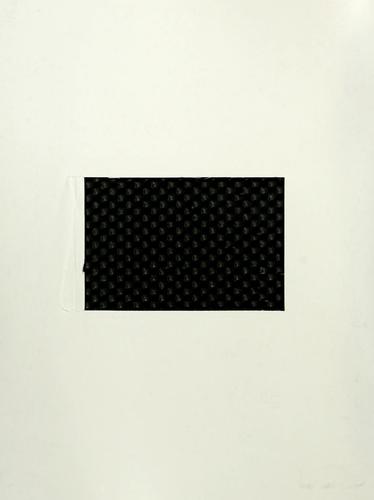 Cover for Polygon optimization problems.
