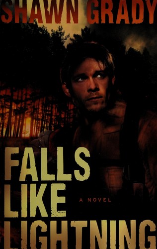 Cover for Falls like lightning