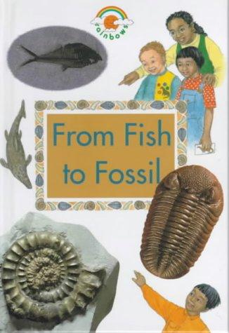 Cover for From Fish to Fossil (Rainbows Green)