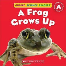 Cover for A Frog Grows Up