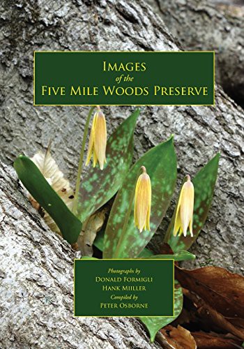 Cover for Images of the Five Mile Woods Preserve