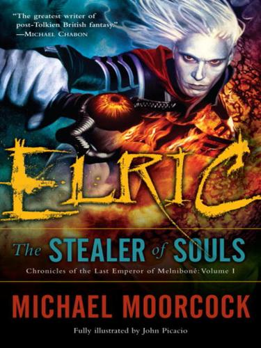 Cover for The Stealer of Souls
