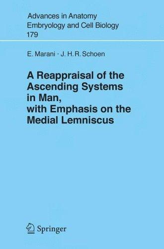 Cover for A Reappraisal of the Ascending Systems in Man, with Emphasis on the Medial Lemniscus (Advances in Anatomy, Embryology and Cell Biology)
