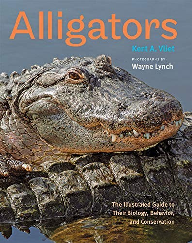Cover for Alligators