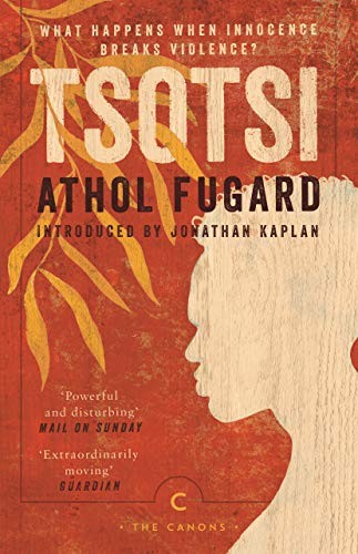 Cover for Tsotsi