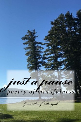 Cover for Just a Pause