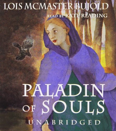 Cover for Paladin of Souls