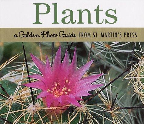 Cover for Plants