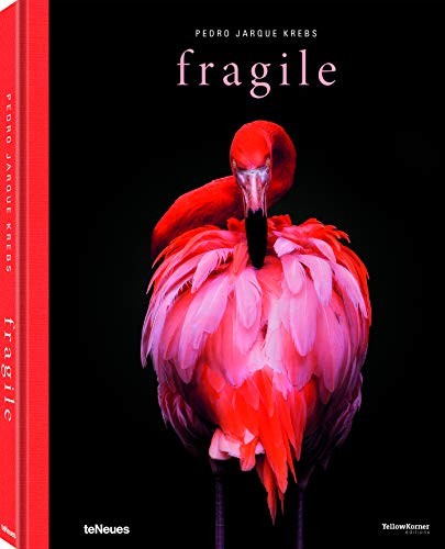 Cover for Fragile