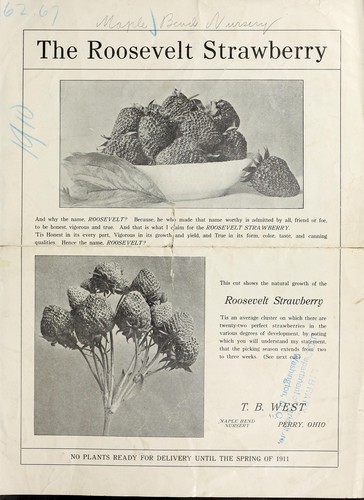 Cover for The Roosevelt strawberry